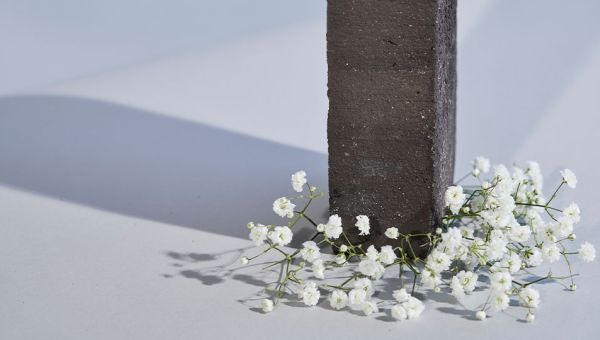 Naturen er vores naturlige habitat.