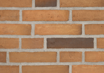 RT 433 Gyllene reducerat DKNF