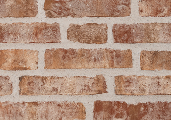 RT 455 Terracotta DKNF